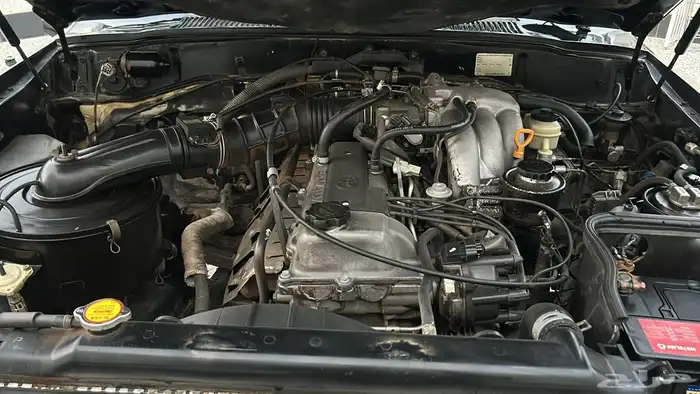 فكسار فل الفل 30