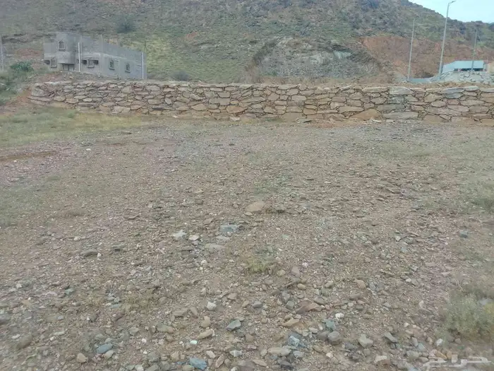 بكلين لبنيان الحجر 1