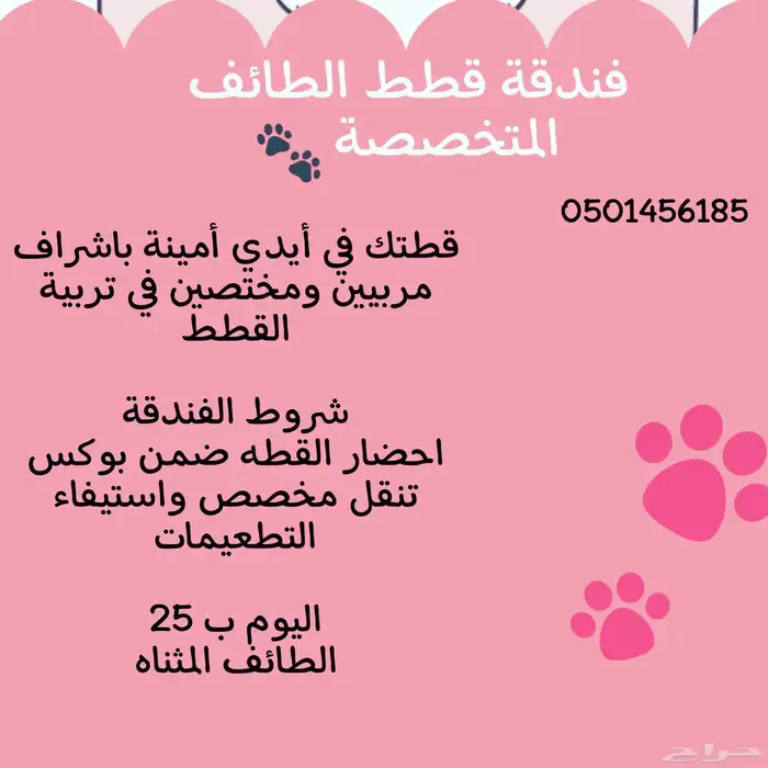 فندقة قطط متخصصة 0