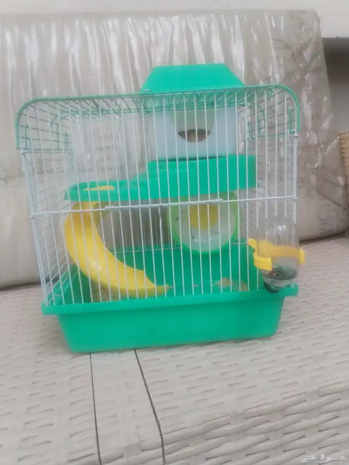 هامستر للبيع اليف العمر اربع اشهور ملاحظة لا يوجد توصيل 0