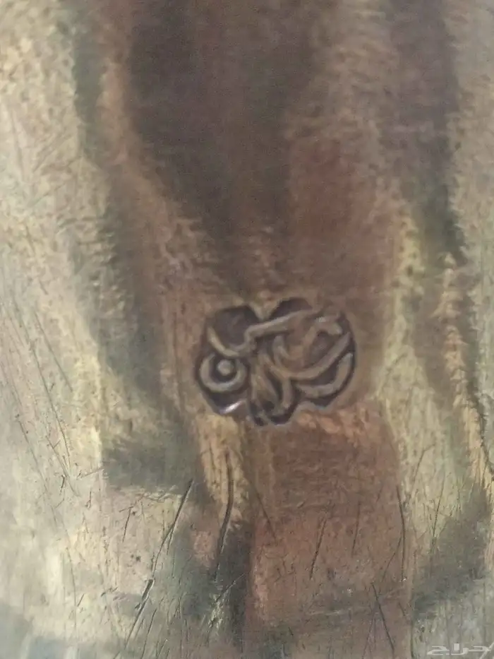 دله التونسي 8