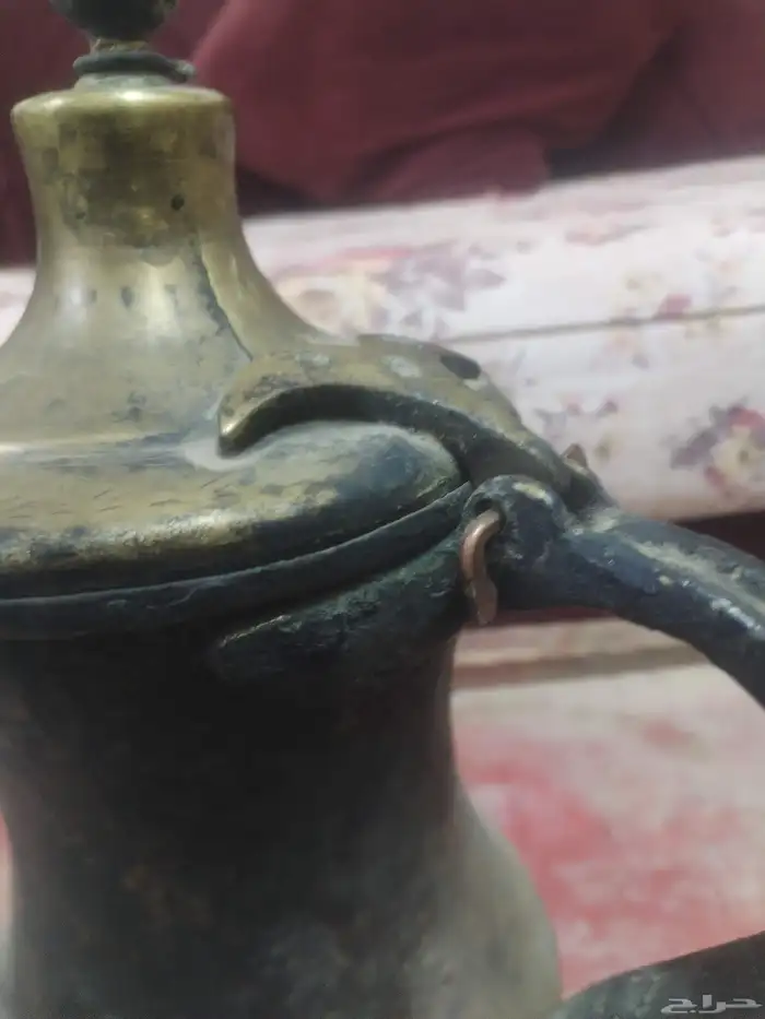 دله التونسي 15