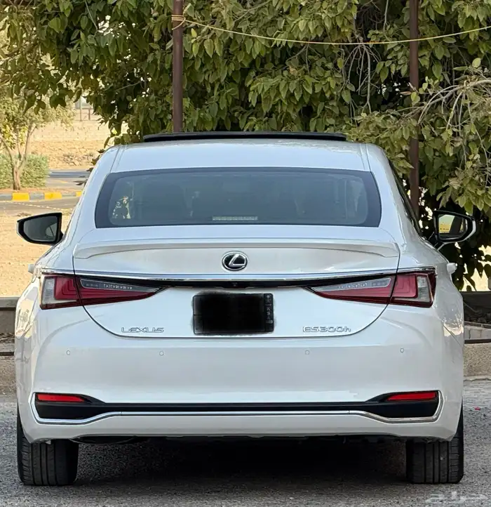 لكزس ES300h 2020 ممشى (92)الف 2