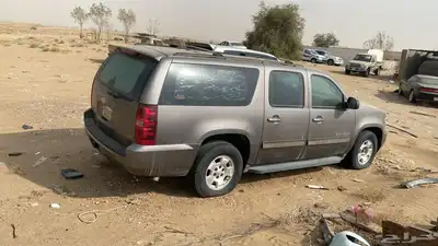 القنفذه index