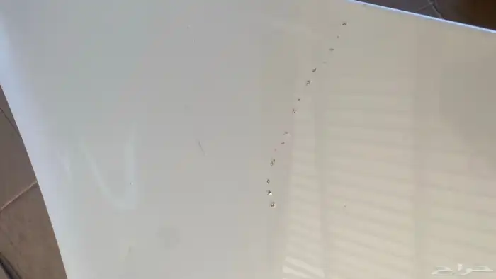 باب شنطه لكزس Ls 400 1