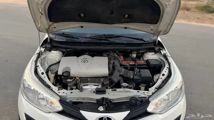 يارس قمة في النضافة الممشى 164 24