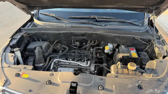 كابتيفا 2021 18