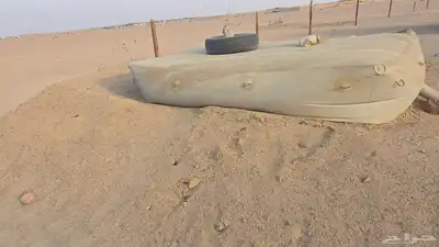 زربه غنم index