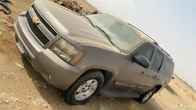 القنفذه index