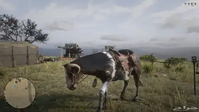 حساب RDR2 نوادر وفخم index