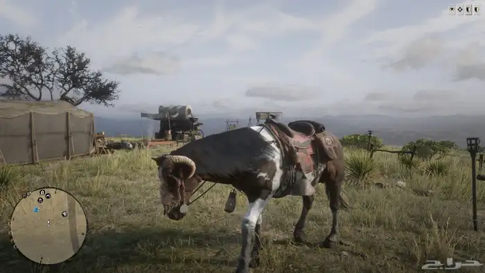 حساب RDR2 نوادر وفخم 1