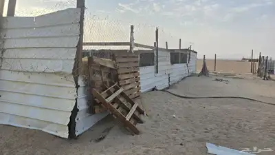 زربه غنم index