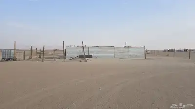 زربه غنم index