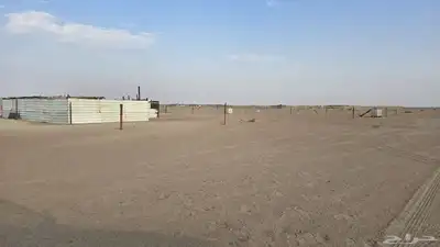 زربه غنم index