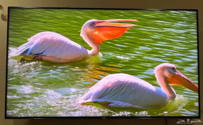 شاشه سوني 55 سمارت 4k اندرويد kd 55x7500h 0