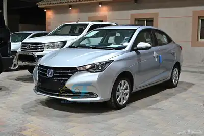 شانجان السفن 2026 فل index