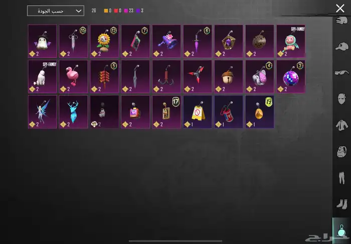 حساب ببجي فخم 24