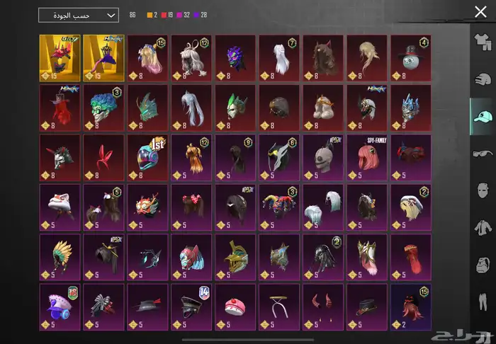 حساب ببجي فخم 5