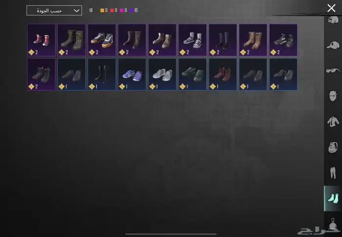 حساب ببجي فخم 29