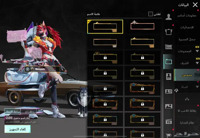 حساب ببجي فخم 33