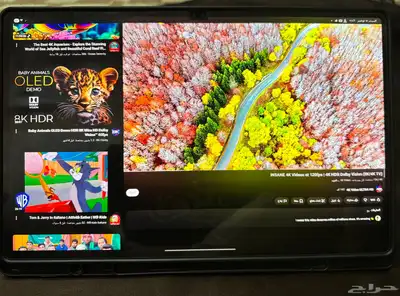 galaxy tab s10 ultra index