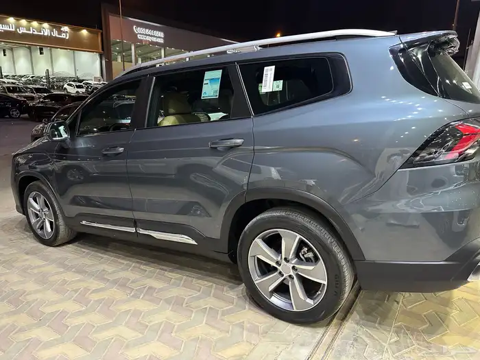 جيلي اوكافانجو فل كامل 2024 14