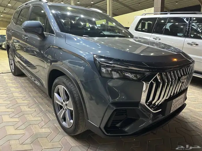 جيلي اوكافانجو فل كامل 2024 18