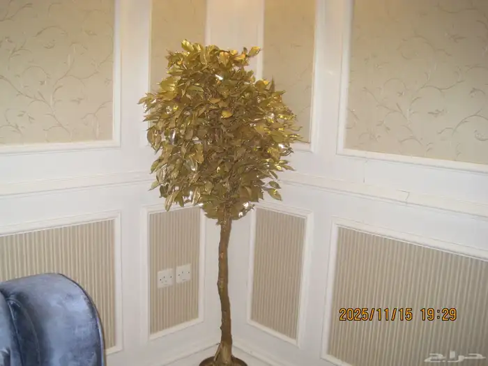 كاميرا ديجيتال كانون 1