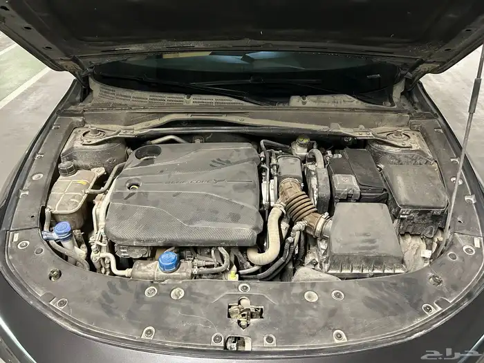 شانجان يوني في 2024 17