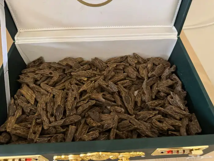 عود كلمنتان عود ازرق نص كيلو 2