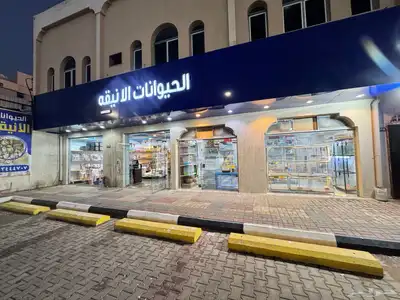 للتقبيل محل حيوانات اليفه 0