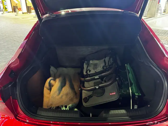 شانجان يوني في شبه وكالة 11