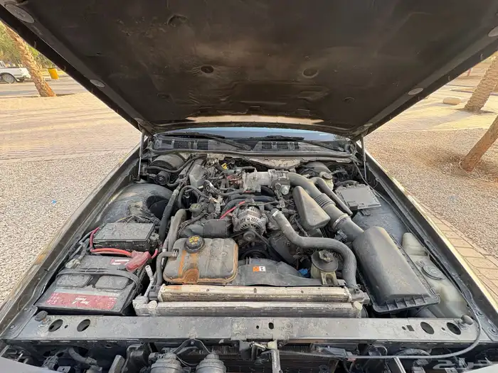 كراون فكتوريا بوليسي 2006 ممشى قليل 9