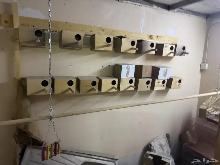 مستلزمات طيور 4