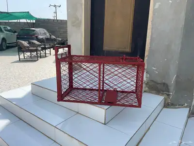 مصيد للحيونات التي تهاجم الدواجن من قطط وغيرها index