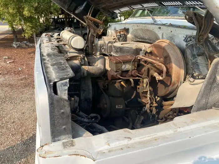 وايت ماء مديل 82 مسقط للبيع 27