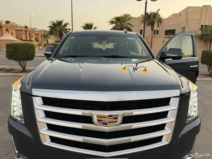 اسكاليد 2019 بريميوم (ملكي) الجميح نظيف جدا 49