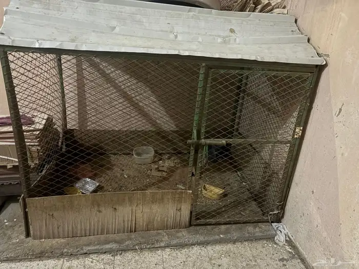 قفص مستعمل 1