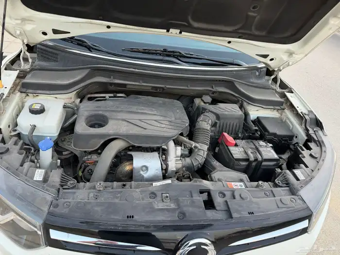 تيفولي 2021 نظيف جدا للمستخدم 6