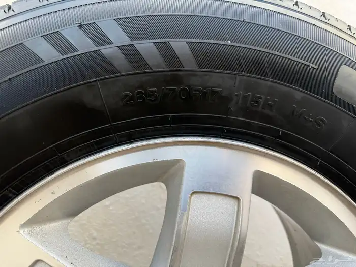 جنوط جمس مساطر وكاله 2