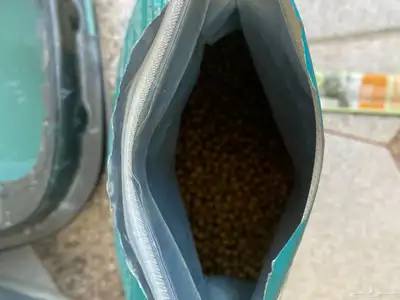 مستلزمات قط للبيع index