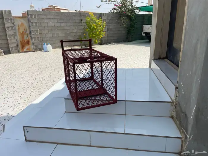 مصيد للحيونات التي تهاجم الدواجن من قطط وغيرها 2