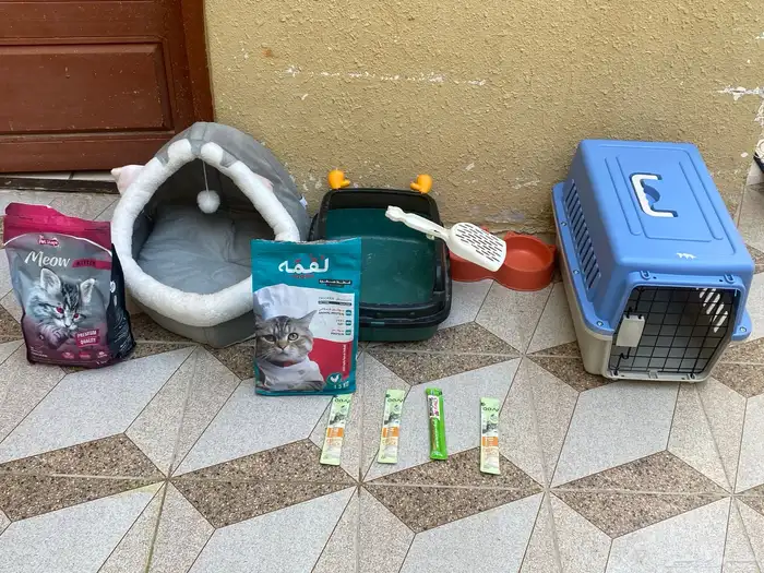 مستلزمات قط للبيع 0