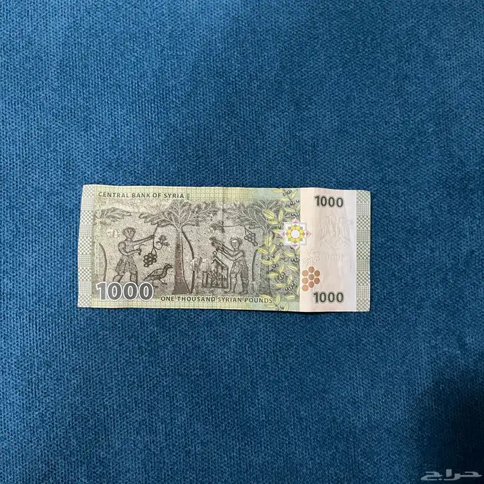 عملة سوريا 3