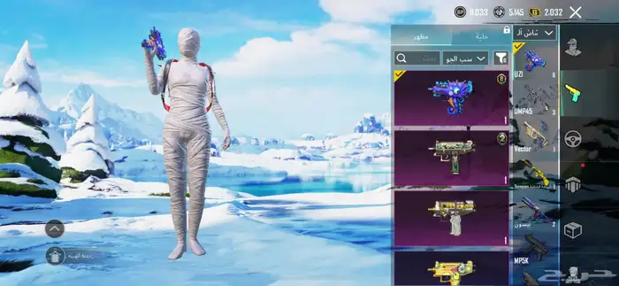 بيع ببجي او استبدال مايجي الاصامل 14