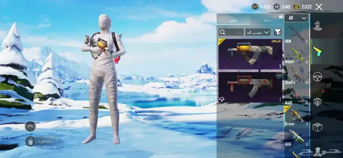 بيع ببجي او استبدال مايجي الاصامل 13