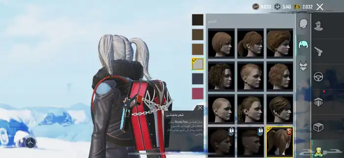 بيع ببجي او استبدال مايجي الاصامل 20