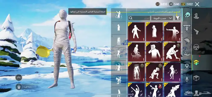 بيع ببجي او استبدال مايجي الاصامل 15