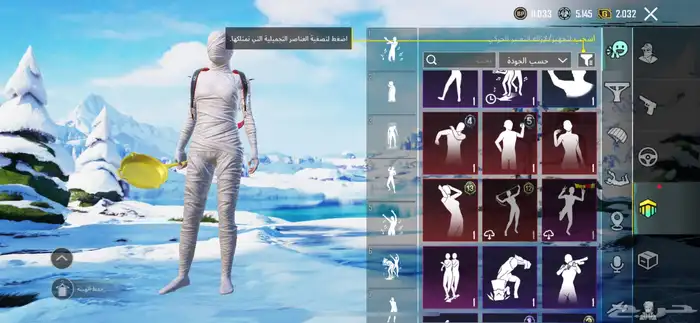 بيع ببجي او استبدال مايجي الاصامل 17