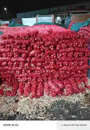 توريد جميع انواع الخضار والفواكه باسعار الجمله 2